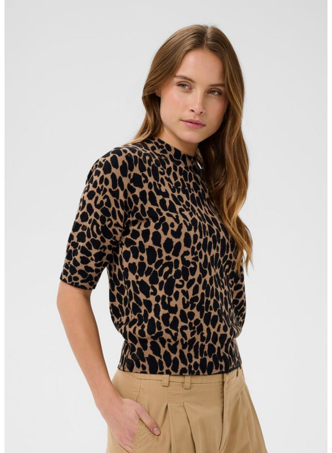Top PalomaSZ Tiger's Eye Spotty Leo