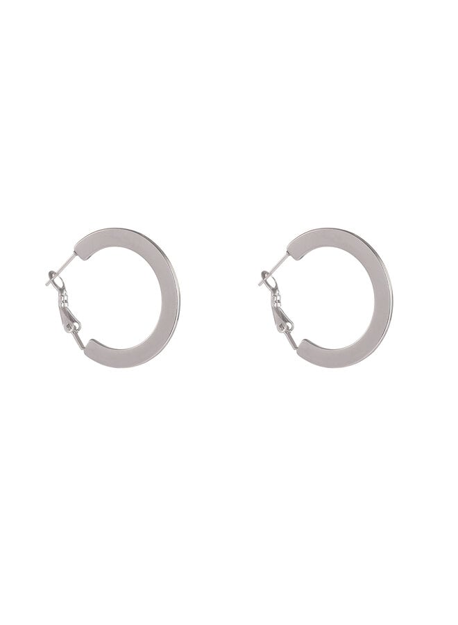 Day & Eve oorbellen E61209-1 Zilverkleurig