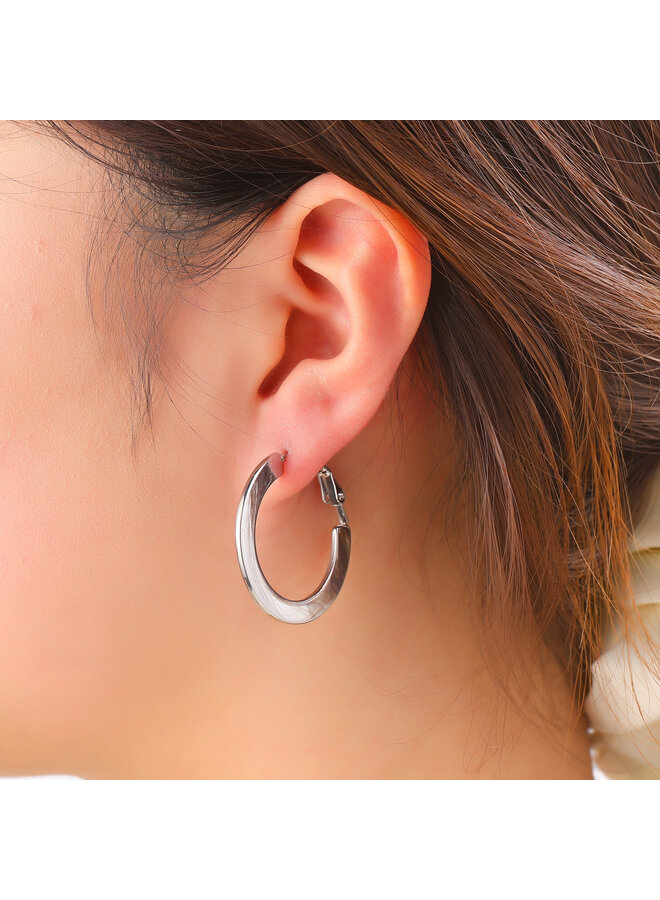 Day & Eve oorbellen E61209-1 Zilverkleurig