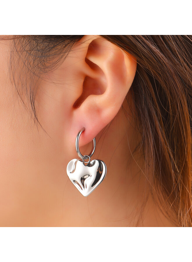 Day & Eve oorbellen E61107-1 Zilverkleurig