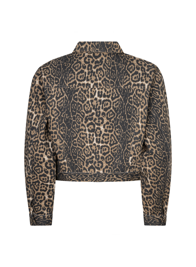 Jack Saskia Leopard