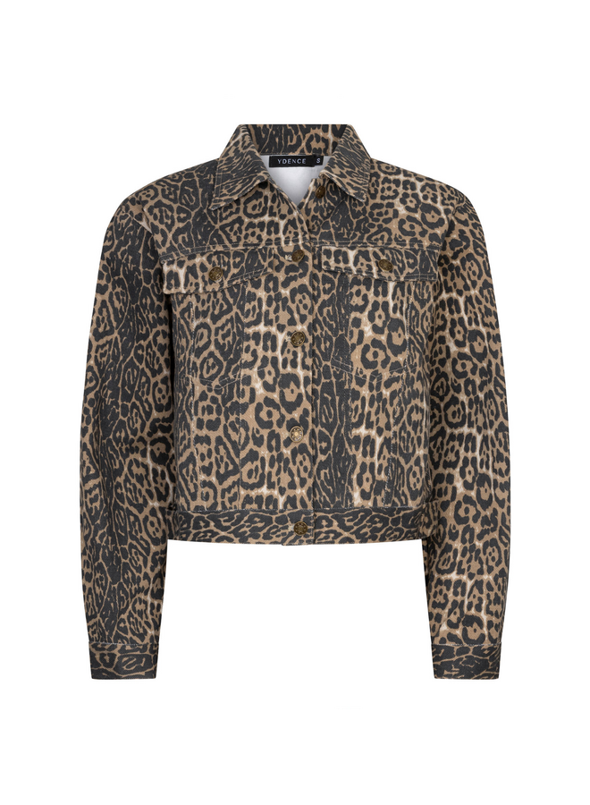 Jack Saskia Leopard