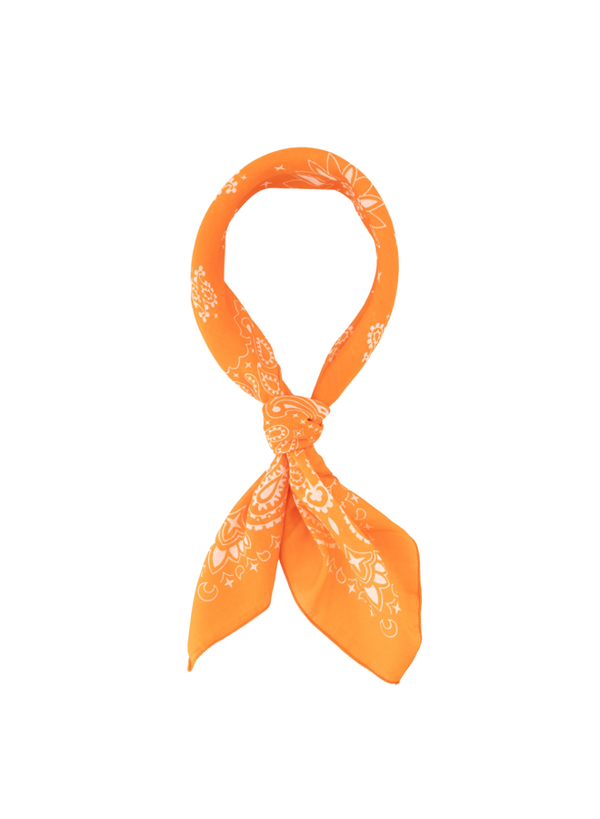 Jewelz sjaaltje Astrid Oranje