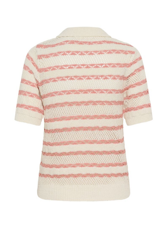 Top RosettaSZ Blooming Dahlia