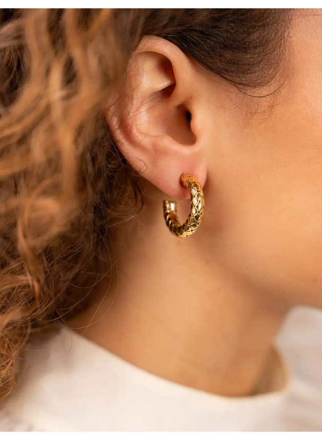 LOTT. oorbellen Cobra Rond S Goud Verguld