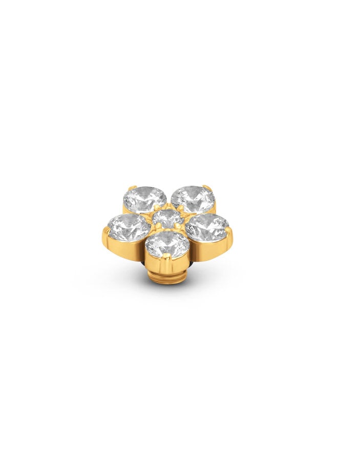 Melano Vivid meddy Botanic Crystal Goudkleurig