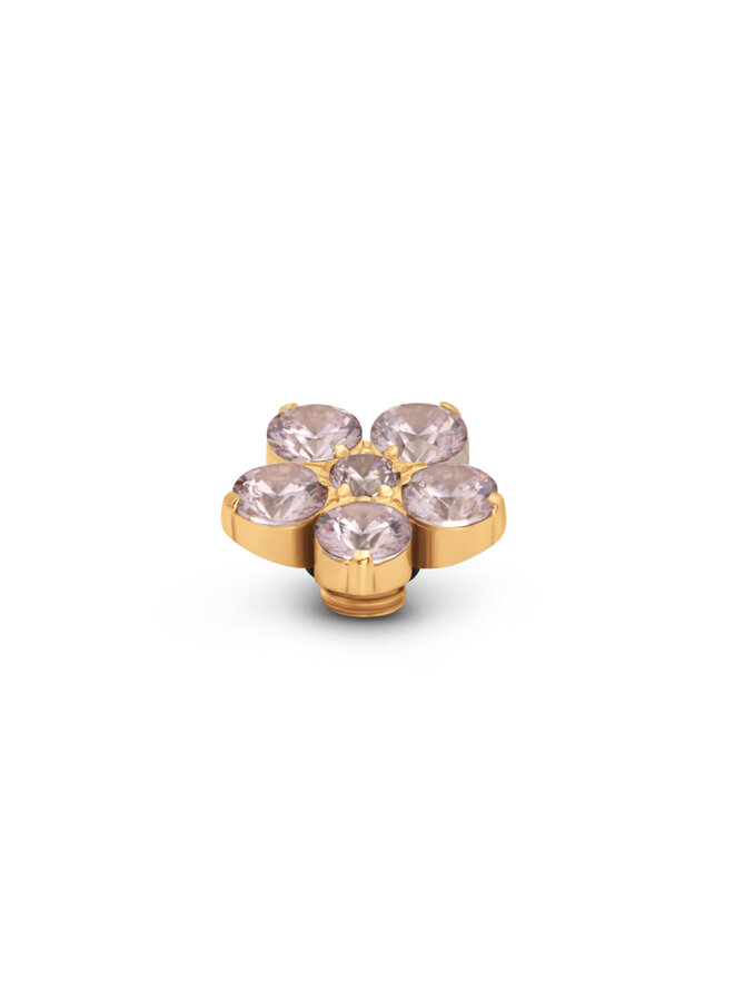 Melano Vivid meddy Botanic Diamond L. Pink Goudkleurig