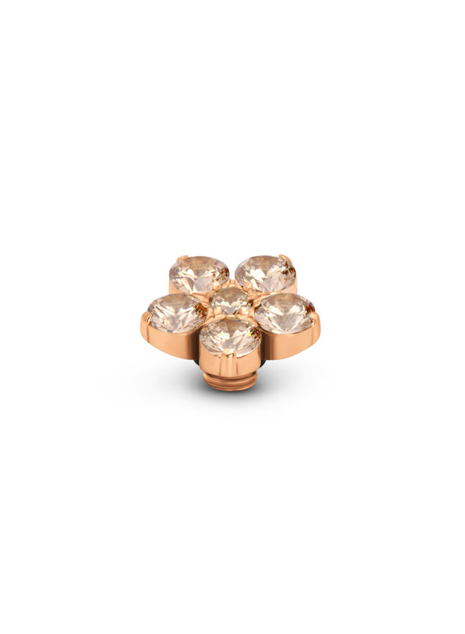 Melano Vivid meddy Botanic Champagne Rosékleurig