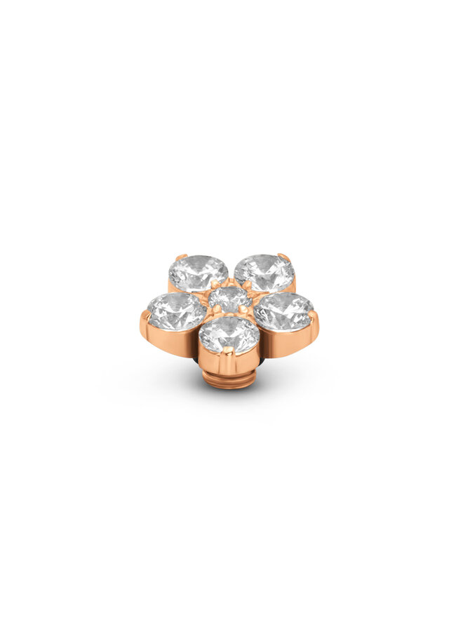 Melano Vivid meddy Botanic Crystal Rosékleurig