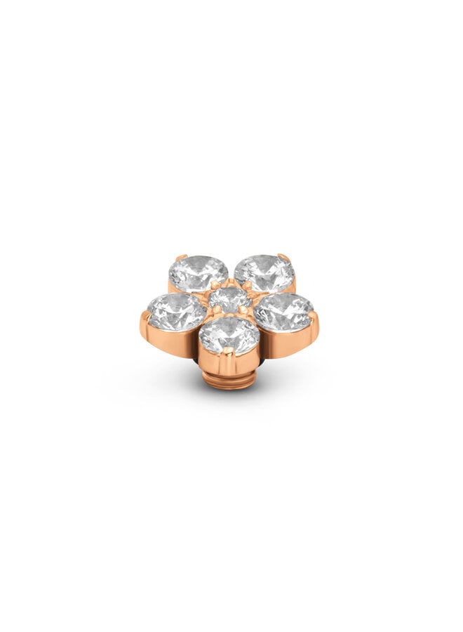 Melano Vivid meddy Botanic Crystal Rosékleurig