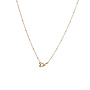 Day & Eve ketting N66411-2 Goudkleurig