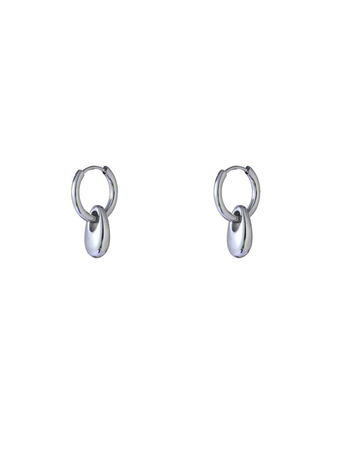 Day & Eve oorbellen E66063-1 Zilverkleurig