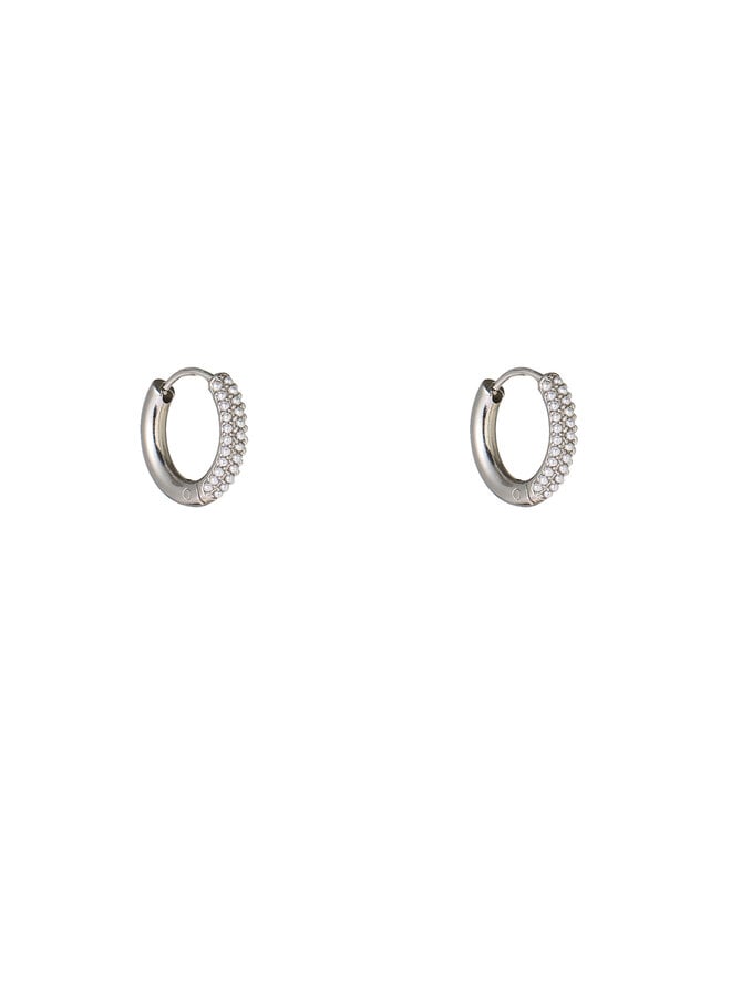 Day & Eve oorbellen E66088-1 Zilverkleurig