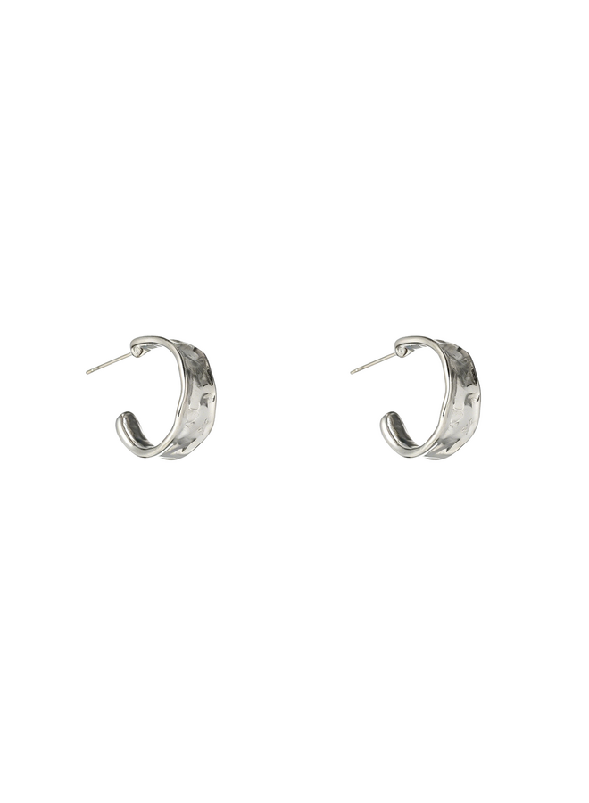 Day & Eve oorbellen E66067-1 Zilverkleurig