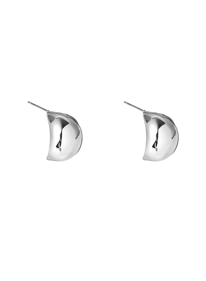 Day & Eve oorbellen E66062-1 Zilverkleurig