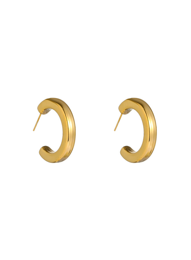 Day & Eve oorbellen E66324-2 Goudkleurig