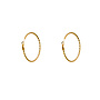 Day & Eve oorbellen E66244-2 Goudkleurig