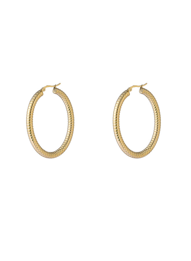 Day & Eve oorbellen E66327-2 Goudkleurig