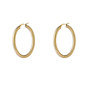 Day & Eve oorbellen E66327-2 Goudkleurig
