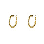 Day & Eve oorbellen E66328-2 Goudkleurig