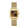 CLUSE horloge Gracieuse Petite Mesh Goudkleurig/Brown
