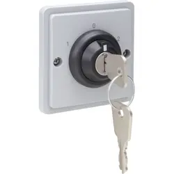 Niko Hydro Schlüsselschalter 16 A mit Schraubklemmen grau (700-38800)