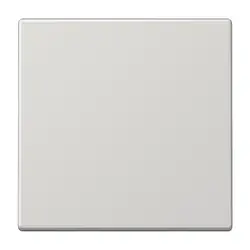 JUNG Wippe 1-fach LS990 hellgrau (LS 990 LG)