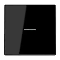 JUNG Wippe Kontrollfenster LS990 schwarz glänzend (LS 990 KO5 SW)