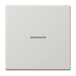 JUNG Wippe Kontrollfenster LS990 hellgrau (LS 990 KO5 LG)