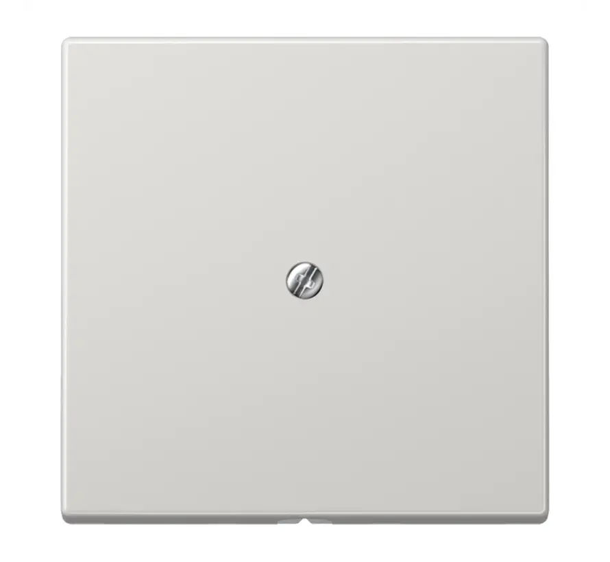 Zentralplatte Leitungsauslass mit Tragring LS990 hellgrau (LS 990 A LG)