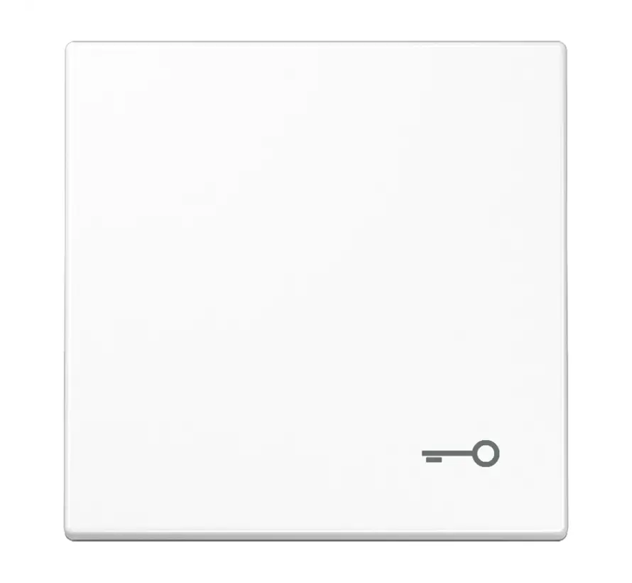 Wippe symbol Schlüssel LS990 alpinweiß (LS 990 T WW)