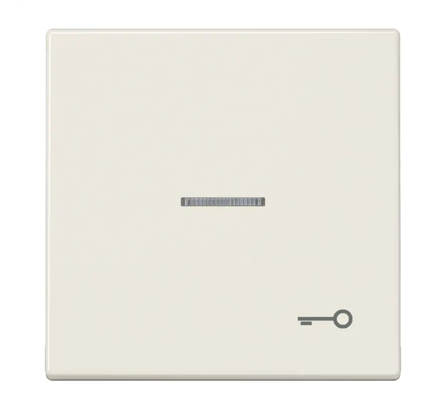 Wippe symbol Schlüssel Kontrollfenster LS990 creme (LS 990 KO5 T)