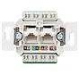 RJ45 Netzwerk-Anschlussdose 2-fach CAT6 nicht abgeschirmt (UAE 8-8 UPO K6 US)