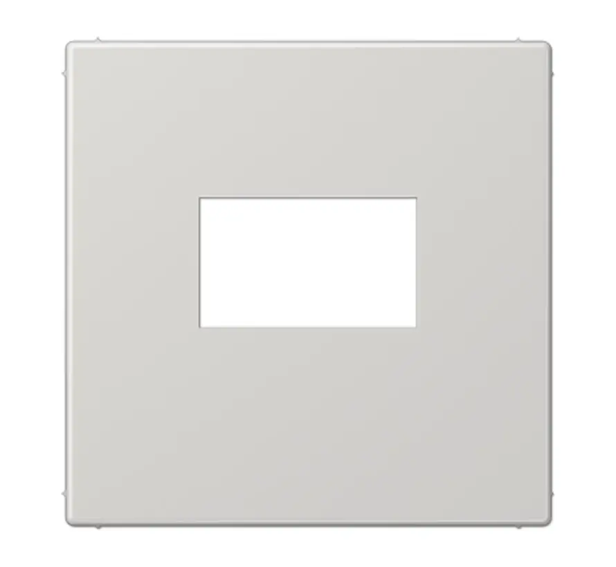 Zentralplatte Klick-Bestätigung für USB-Ladestation LS990 Licht grau (LS 1969 USB LG)