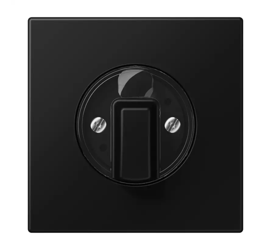 Drehbedienaufsatz für Jalousie oder Drehschalter LS990 graphitschwarz matt (LS 1941 SWM)