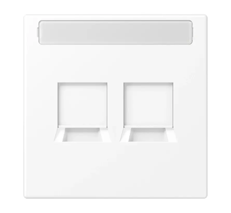 Zentralplatte 2-fach modular-jack Beschriftungsfeld LS990 schneeweiß matt (LS 1969-2 NA WE WWM)