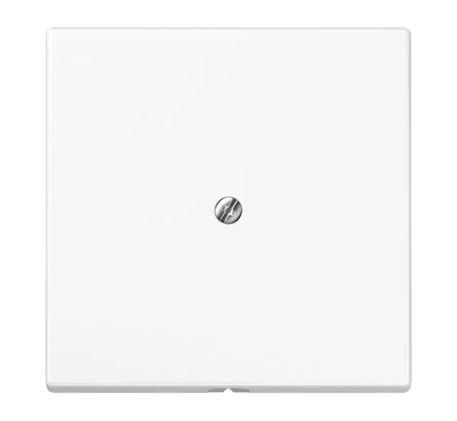 Zentralplatte Leitungsauslass mit Tragring LS990 schneeweiß matt (LS 990 A WWM)