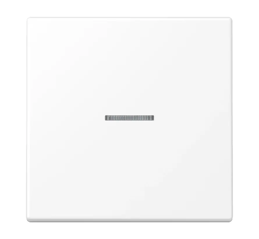 Wippe mit Kontrollfenster LS990 schneeweiß matt (LS 990 KO5 WWM)