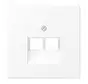 Zentralplatte 2-fach für RJ45 Netzwerk-Anschlussdose LS990 schneeweiß matt (LS 969-2 UA WWM)