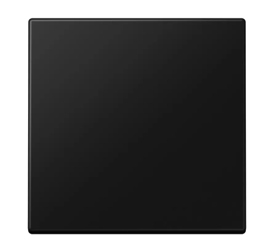 Bluetooth Low Energy Funk-Wandsender 2-Kanal LS990 graphitschwarz matt (BLE LS 990 SWM)
