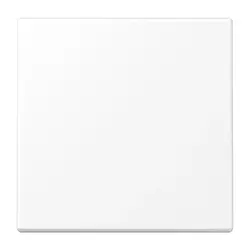 JUNG Bluetooth Low Energy Funk-Wandsender 2-Kanal LS990 schneeweiß matt (BLE LS 990 WWM)