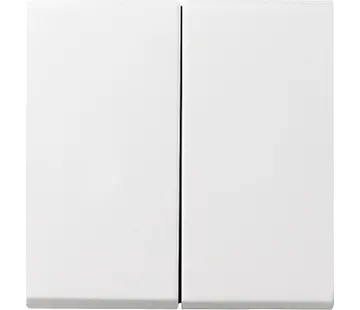Gira Wippe 2-fach System 55 weiß glänzend (029503)