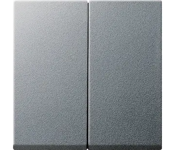 Gira Wippe 2-fach System 55 aluminium matt (029526)