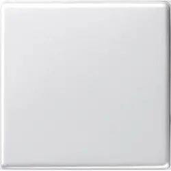 Gira Wippe System 55 weiß glänzend (029603)