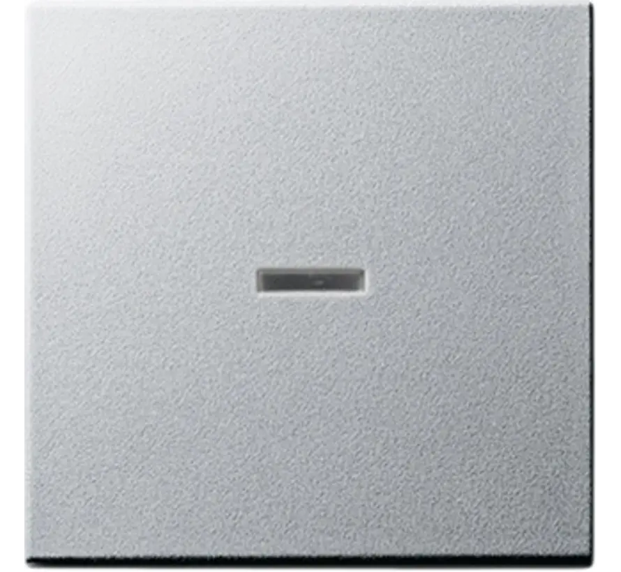 Wippe Kontrollfenster System 55 aluminium matt (029026)