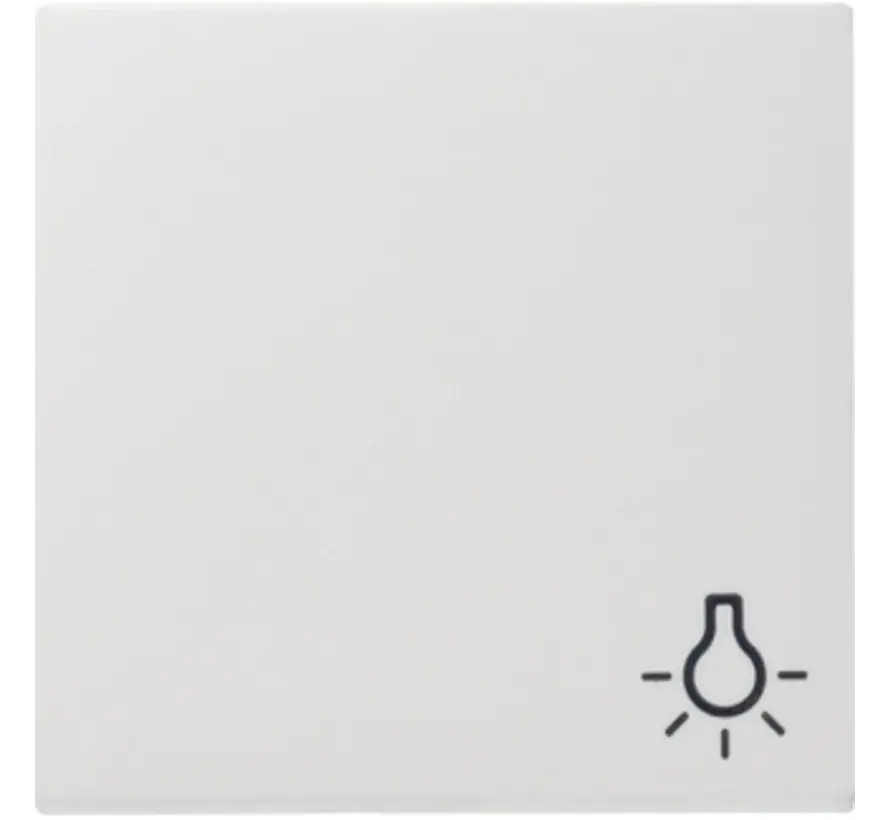 Wippe symbol Licht System 55 weiß matt (028527)
