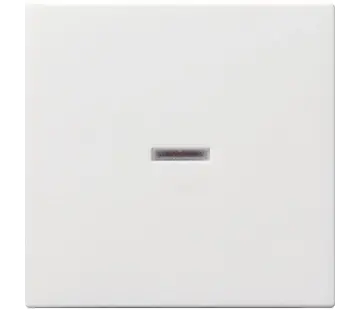 Gira Wippe Kontrollfenster System 55 weiß matt (029027)