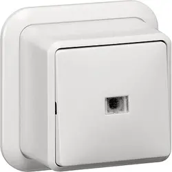 Gira Schalter 2-polig Kontrollschalter mit Glimmlampe Aufputz weiß (011211)