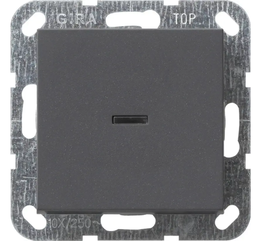 Tastschalter Kontrollschalter mit Glimmlampe 2-polig System 55 anthrazit matt (012228)