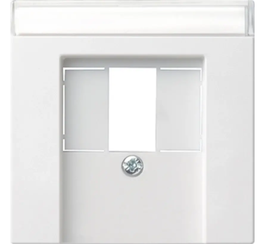 Zentralplatte USB / Lautsprecher Beschriftungsfeld System 55 weiß glänzend (087603)